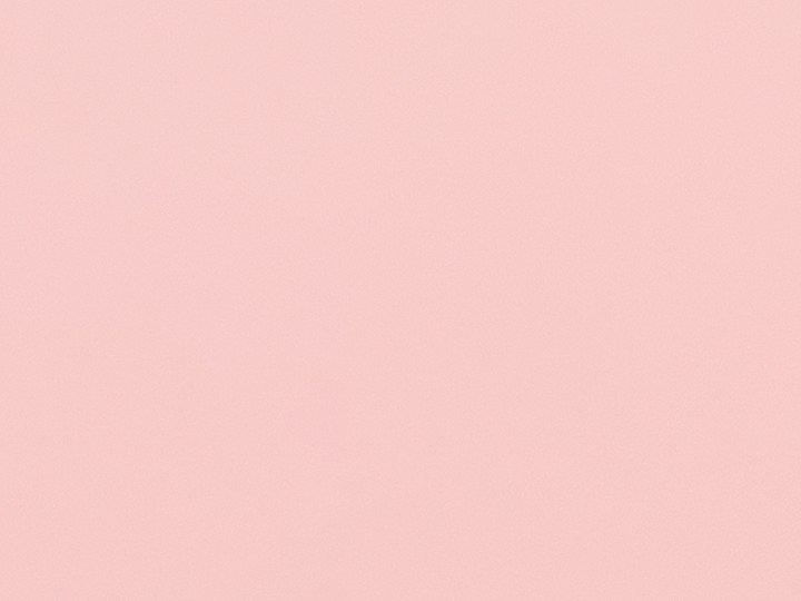 Allure compartió los mejores productos de maquillaje elegidos por sus lectores.