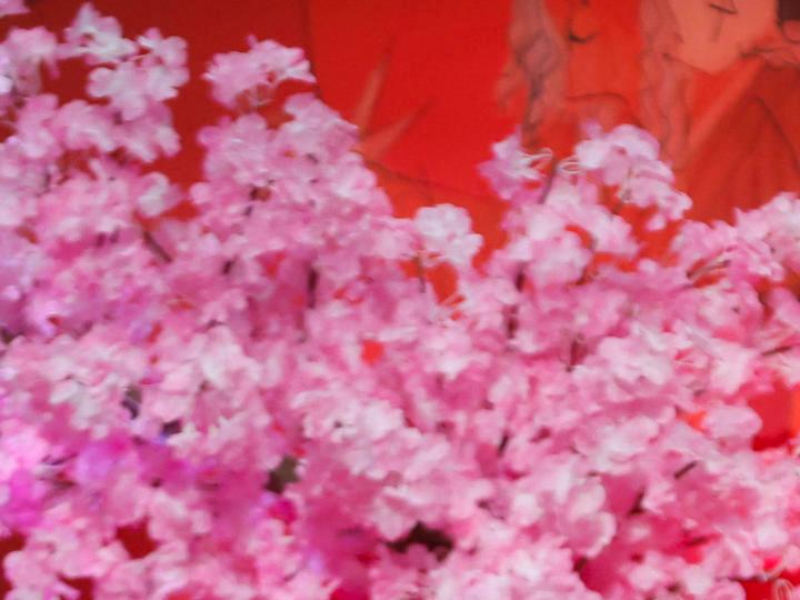 La reina Letizia aparece con zapatos deportivos en su nuevo compromiso real.