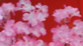 La reina Letizia aparece con zapatos deportivos en su nuevo compromiso real.