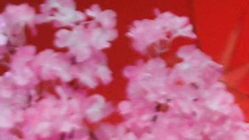 La reina Letizia aparece con zapatos deportivos en su nuevo compromiso real.