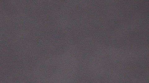Unas gafas de sol de montura negra y forma ovalada pueden ser el accesorio más elegante y versátil de todo tu armario, tal como demuestra Hailey Bieber cada vez que sale a la calle
