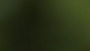 Los perfumes con aroma a bergamota son ideales para usar en el día a día.