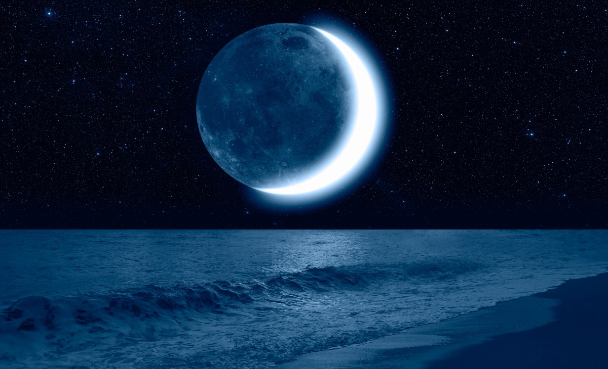 Calendario lunar de julio: cuáles son las mejores fechas para cortar tu