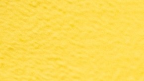 Vístete de colores para celebrar el mes del Orgullo LGBT.