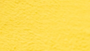 Vístete de colores para celebrar el mes del Orgullo LGBT.