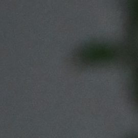 Hailey Bieber tiene el diseño de flores que todas las chicas amarán en la primavera.