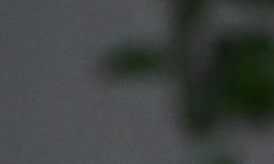 Hailey Bieber tiene el diseño de flores que todas las chicas amarán en la primavera.