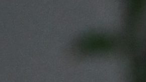 Hailey Bieber tiene el diseño de flores que todas las chicas amarán en la primavera.