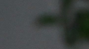 Hailey Bieber tiene el diseño de flores que todas las chicas amarán en la primavera.