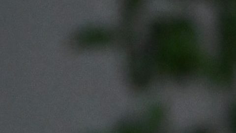 Hailey Bieber tiene el diseño de flores que todas las chicas amarán en la primavera.