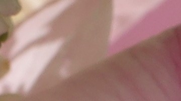 Conoce las características de los perfumes para elegir la opción adecuada para ti.