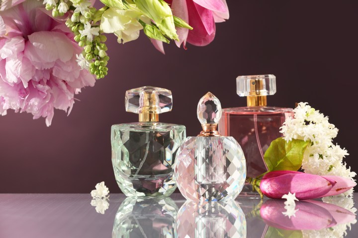 Conoce las características de los perfumes para elegir la opción adecuada para ti.