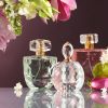 Conoce las características de los perfumes para elegir la opción adecuada para ti.