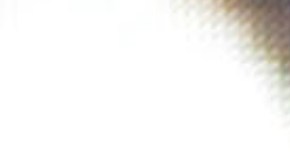 Beyoncé usa un perfume con destacadas notas de coñac y canela que aporta un acabado elegante.