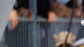 La reina Letizia se une al estilo minimalista en el nuevo evento formal de la princesa Leonor de Asturias.