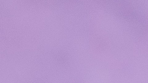 Anne Hathway en la alfombra roja