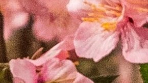 El "Vestido de la Venganza" de la difunta princesa Diana de Gales todavía existe después de 30 años.