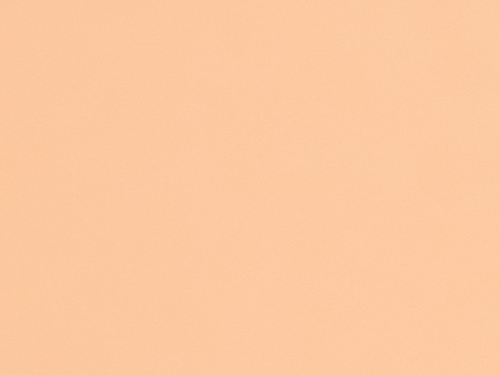 Realiza el Peach Makeup con los productos adecuados para mejorar el resultado.