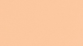 Realiza el Peach Makeup con los productos adecuados para mejorar el resultado.