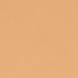 Usa un protector solar adecuado para el tono de tu piel.