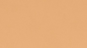 Usa un protector solar adecuado para el tono de tu piel.