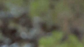 Los reyes Felipe y Letizia celebran una recepción con representantes de la sociedad balear en el Palacio de Marivent.