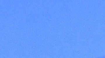 Salma Hayek acude al reciente torneo de WImbledon con un look marinero.