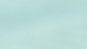 Luce los trajes de baño de animal print en tendencia.