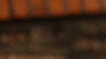 Únete a la moda vintage con las piezas ideales para seguir este estilo.