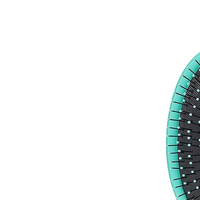 Detlanger de Wet Brush