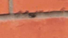 Mejora tus looks del otoño al usar un bolso shopper en tendencia.