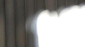 Taylor Russell destaca en el Festival de Cine de Venecia con un vestido de archivo.