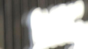 Taylor Russell destaca en el Festival de Cine de Venecia con un vestido de archivo.