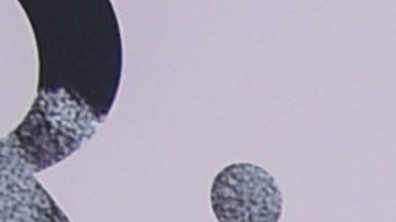 Hailey y Justin Bieber se convirtieron en padres oficialmente.