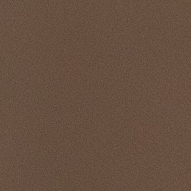 La reina Letizia uso una gran variedad de calzados por su lesión.