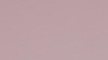 Lily Collins volverá a ser Emily Cooper en la nueva temporada de "Emily in Paris".