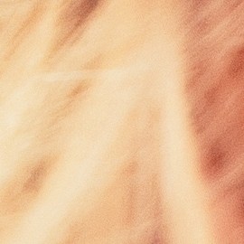 Mejora el aroma de tu piel y cabello con perfumes adecuados.