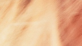 Mejora el aroma de tu piel y cabello con perfumes adecuados.