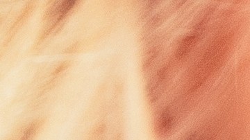 Mejora el aroma de tu piel y cabello con perfumes adecuados.