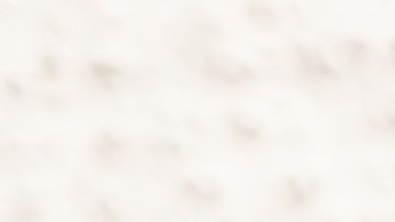 Cuida tus zapatos de gamuza al limpiarlos con bicarbonato de sodio.