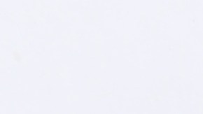 Evita el mal olor en tus zapatos de cuero con el uso de algunos trucos caseros.