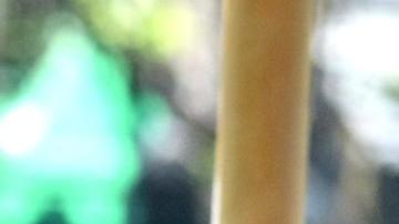 Angelina Jolie lleva sus mejores looks al Festival de Cine de Venecia.