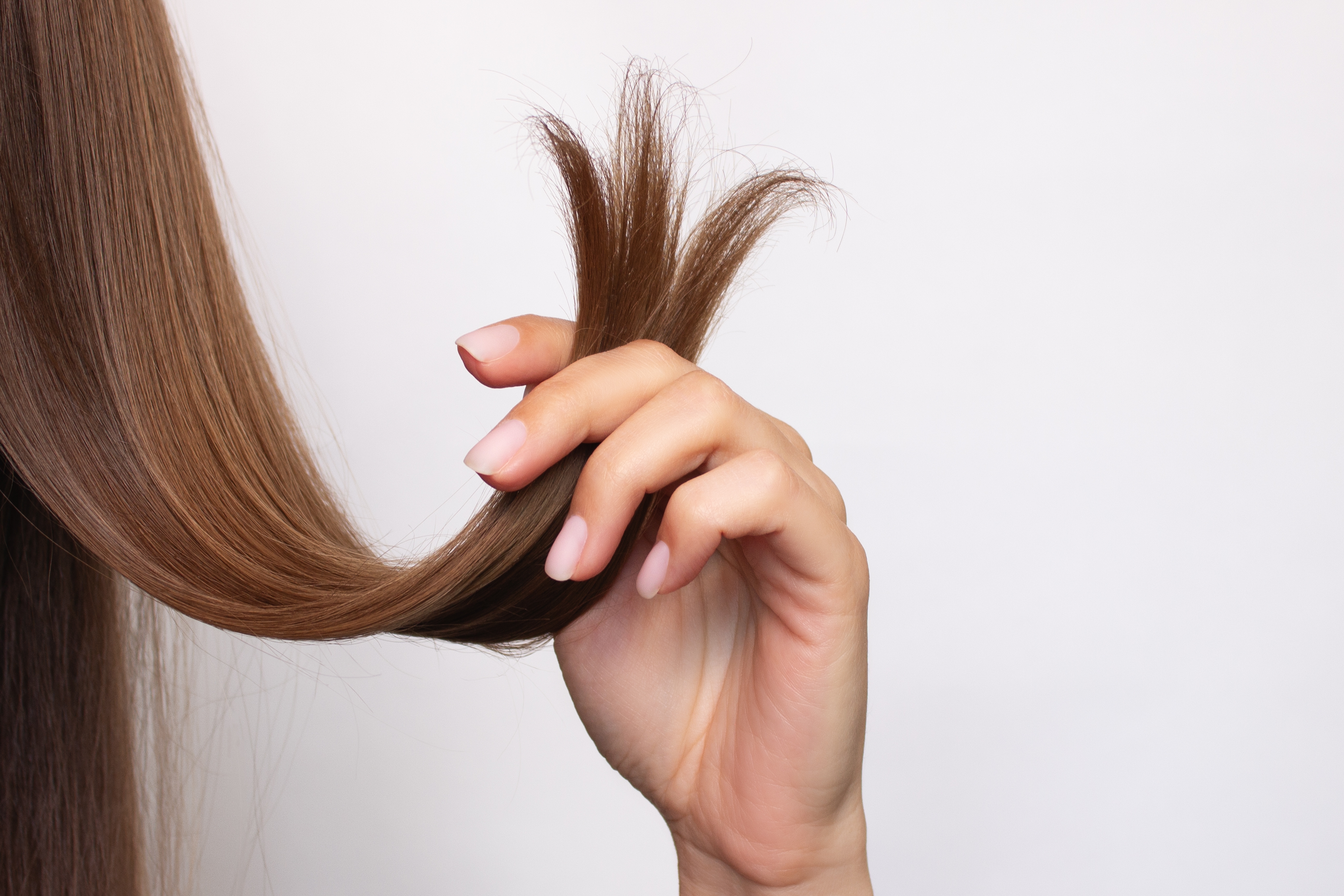 No cortes tu cabello en Luna Nueva para evitar su efecto dañino.