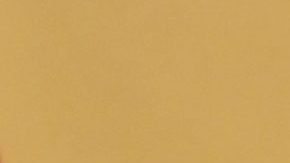 Sydney Sweeney llevó un glamoroso look en Venecia.