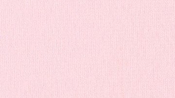 Bella Hadid impone una tendencia de moda con su nueva relación.