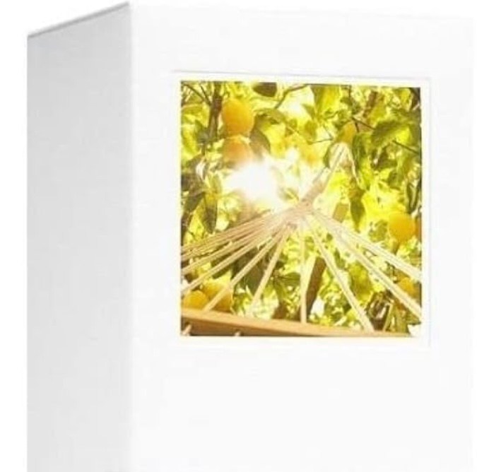 Under the Lemon Tree de Maison Margiela.