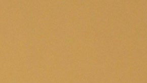 Kendall Jenner presume su nuevo look en el desfile de Bottega Veneta.