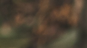 Los calzados en tendencia para el otoño mantienen tonos marrones en su diseño.