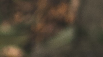 Los calzados en tendencia para el otoño mantienen tonos marrones en su diseño.