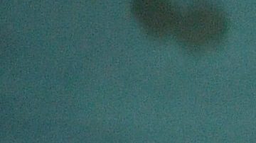 Bella Hadid impulsa el estilo cowgirl como la tendencia del momento.